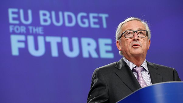 Agricultura y cohesión, los grandes perjudicados del presupuesto de la UE Agricultura y cohesión, los grandes perjudicados del presupuesto de la UE