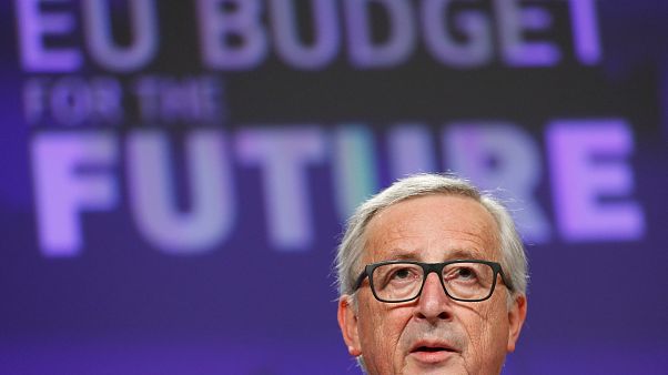Eu Haushalt Wofur Es Mehr Geld Gibt Und Wofur Weniger Euronews