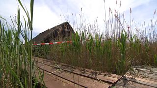 Tote im Neusiedler See: Verdächtiger geständig