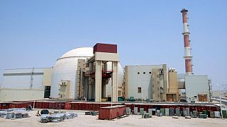 Bushehr main nuclear reactor
