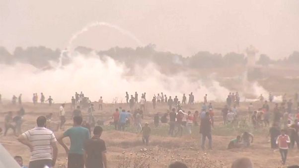 Decenas de heridos de bala en una nueva jornada de protesta en Gaza Decenas de heridos de bala en una nueva jornada de protesta en Gaza