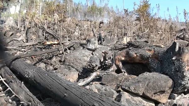 Schäden durch Waldbrand in der Slowakei Schäden durch Waldbrand in der Slowakei