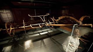 آخر عجلة حربية للملك توت عنخ آمون تلتحق بالمتحف المصري الكبير