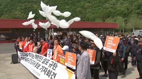 Coree, la protesta del disertore Coree, la protesta del disertore