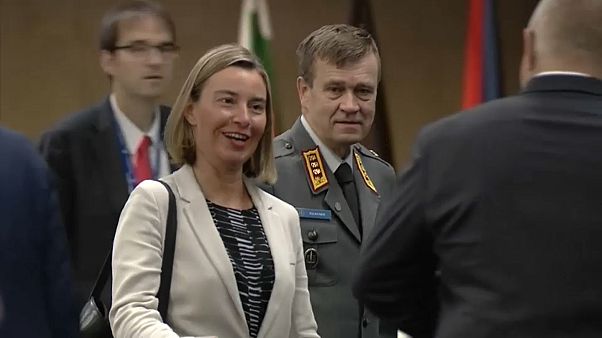 Défense : Paris engrange les soutiens pour une force d'intervention européenne Défense : Paris engrange les soutiens pour une force d'intervention européenne