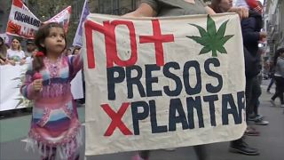 Milhares em Buenos Aires e Lima pela legalização da Canábis