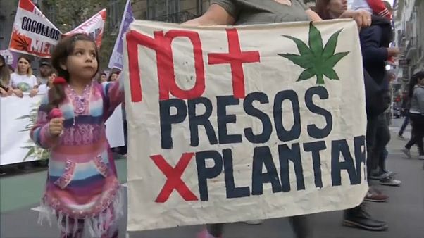 Milhares em Buenos Aires e Lima pela legalização da Canábis Milhares em Buenos Aires e Lima pela legalização da Canábis