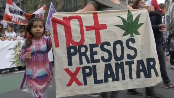Argentinier fordern Legalisierung von Marihuana Argentinier fordern Legalisierung von Marihuana