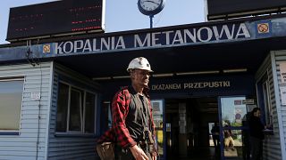 3 lengyel bányászt még keresnek
