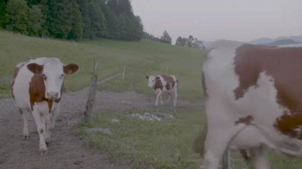 ЕС сократит сельскохозяйственные дотации ЕС сократит сельскохозяйственные дотации