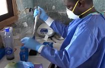 Újabb ebolajárvány Kongóban