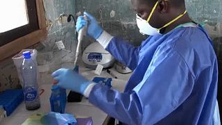 Újabb ebolajárvány Kongóban