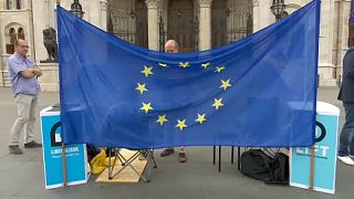 Közös ellenzéki EP-listát javasolnak a Liberálisok