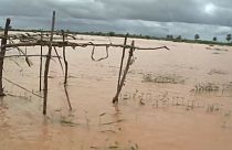Trágica rotura de una presa en Kenia: hay decenas de muertos