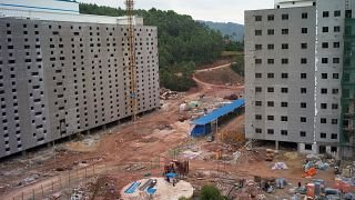 High rise pig farm in China