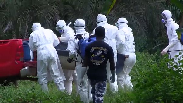 Ebola Kongo'da can aldı Ebola Kongo'da can aldı