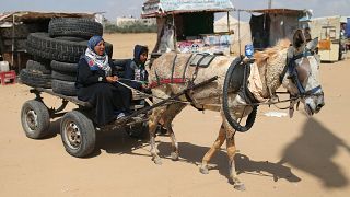 Сектор Газа в преддверии "Дня Катастрофы"