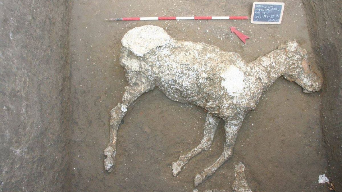 Ανακαλύφθηκε άλογο στην Πομπηία