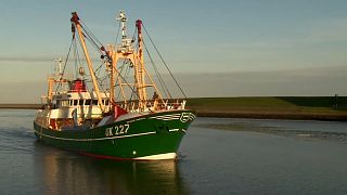 Pescadores dos Países Baixos temem efeitos do Brexit
