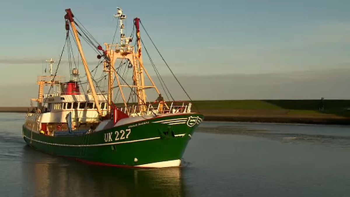 El impacto del brexit en el sector pesquero