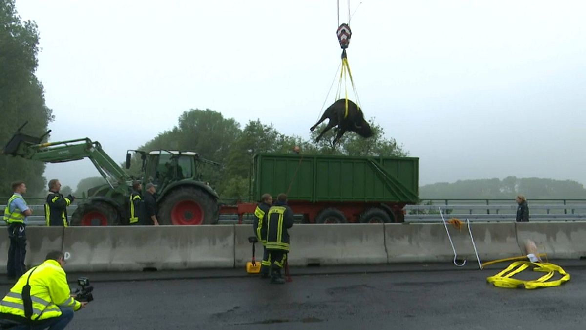 Almanya'da mandalar trafiği felç etti
