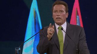 Klimagipfel: Schwarzenegger appelliert an Trump, sich anzuschließen