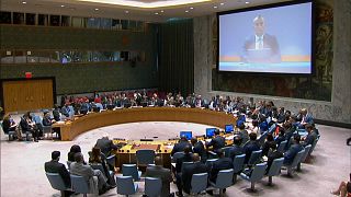 EUA em defesa isolada de Israel no Conselho de Segurança da ONU