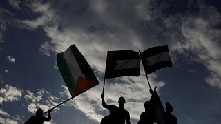 Gaza : le conseil de sécurité de l'ONU divisé
