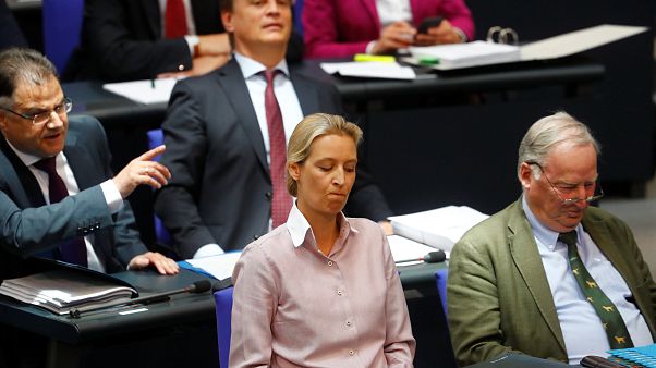 Alice Weidel Alice Weidel