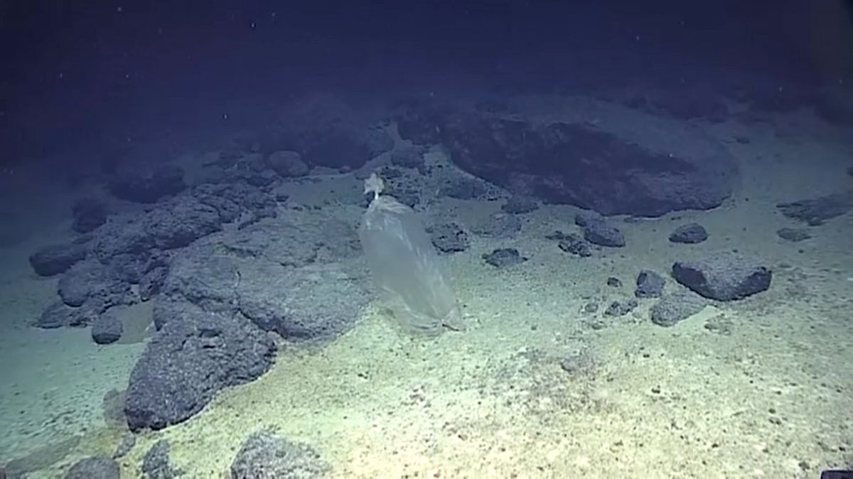  Cientistas descobrem plástico no Pacífico a 11 km de profundidade