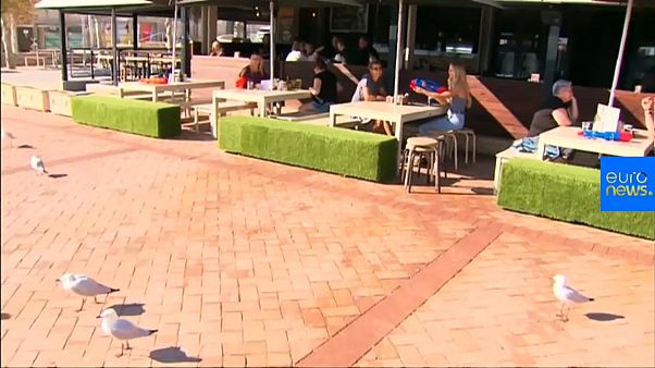 Australie : plus de pitié pour les mouettes pique-assiettes ! Australie : plus de pitié pour les mouettes pique-assiettes !