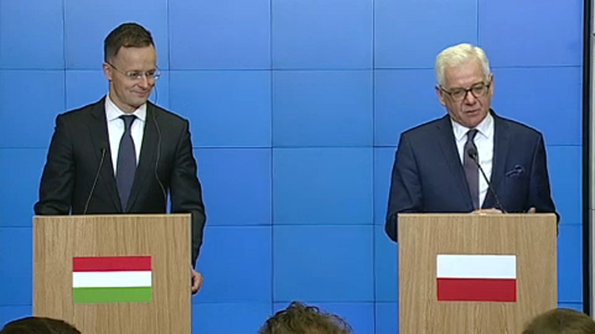 Lengyel-magyar külügyi csúcs