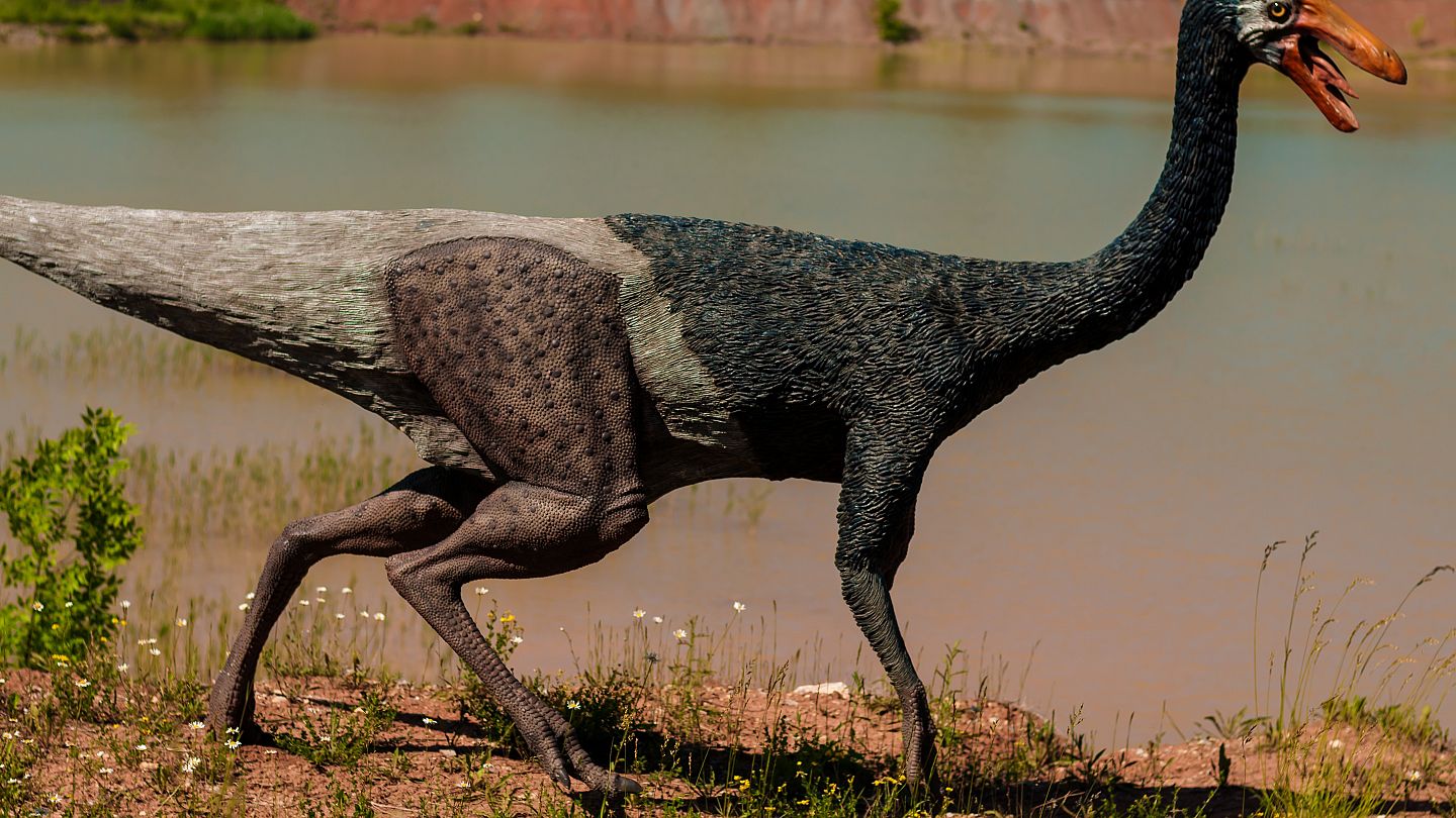 Ces dinosaures couvaient leurs oeufs dans des nids communs