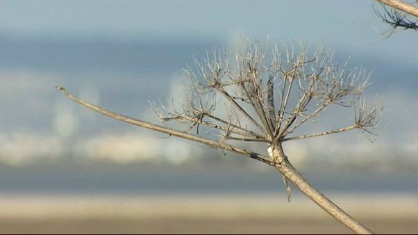 Climat : une conférence à Nicosie Climat : une conférence à Nicosie