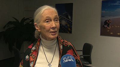 La primatóloga Jane Goodall defiende otra manera de vivir