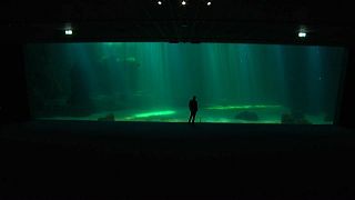 Frankreich hat Europas größtes Aquarium
