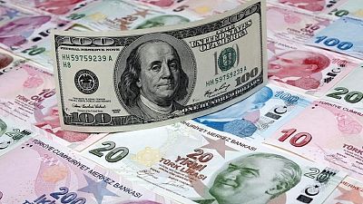 العملة التركية والدولار