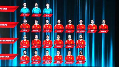 Spain World Cup 