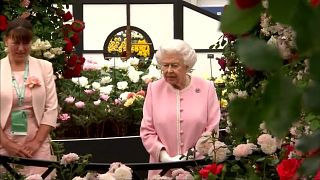 Royal visit to Chelsea Flower show