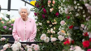 Queen Elizabeth bestaunt Chelsea Flower Show