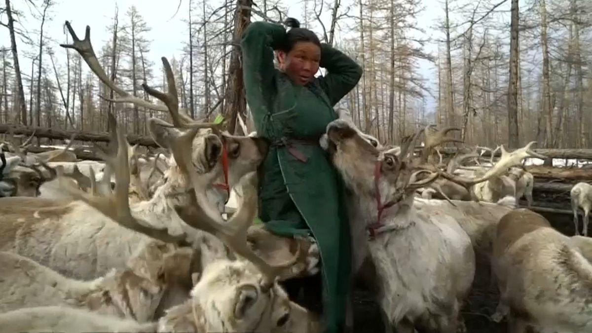 Монголия: охота вне закона
