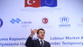 Ekonomi Bakanı Zeybekci'den Dolar açıklaması