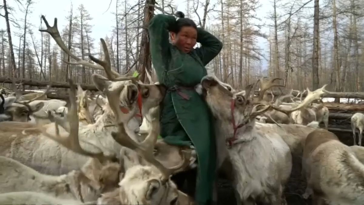 A Dhuka reindeer herder in northern Mongolia
