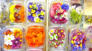 These electrifying, edible flowers have chefs buzzing