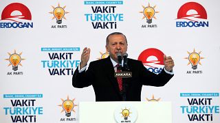Erdogan ruft Türken auf, Euro und Dollar in Lira umzutauschen