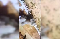 Израильский танк открыл огонь по палестинцам