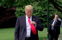 Absage abgesagt - Trump zum Gipfel mit Kim: "Es wird geschehen"