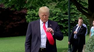 Absage abgesagt - Trump zum Gipfel mit Kim: "Es wird geschehen"
