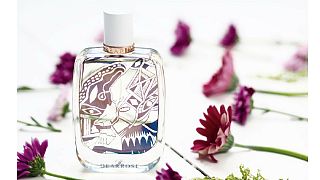 Crafting a niche perfume brand 