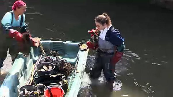 El plástico que nos inunda El plástico que nos inunda